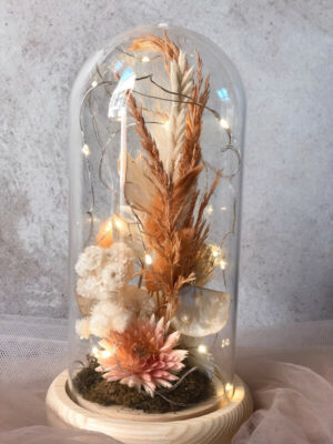Fairy Lights Flower Domes: Blush
